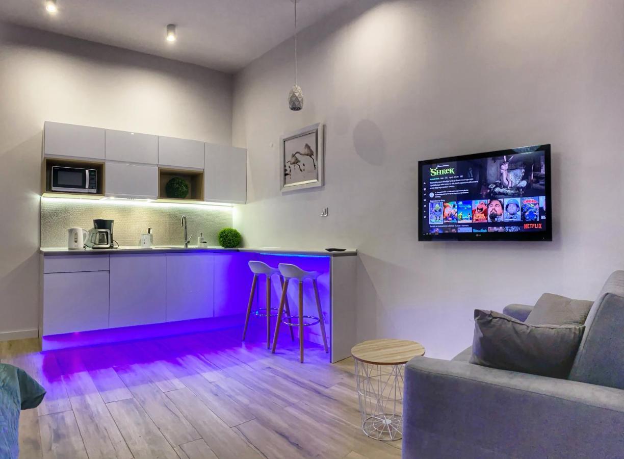 קרקוב Apartament Bialy Z Jacuzzi מראה חיצוני תמונה